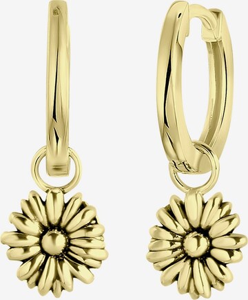 Lucardi Earrings in Gold: front