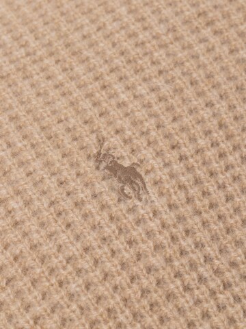 Polo Ralph Lauren Sweater in Brown