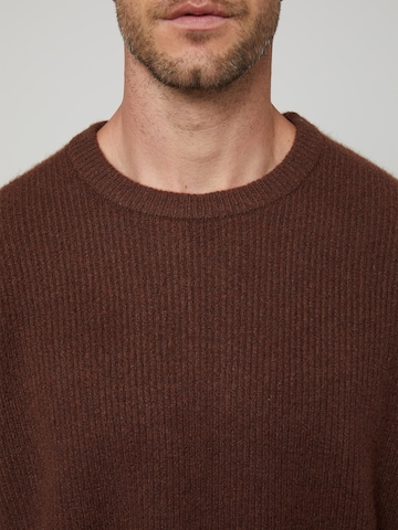 Pull-over 'Dario' DAN FOX APPAREL en marron