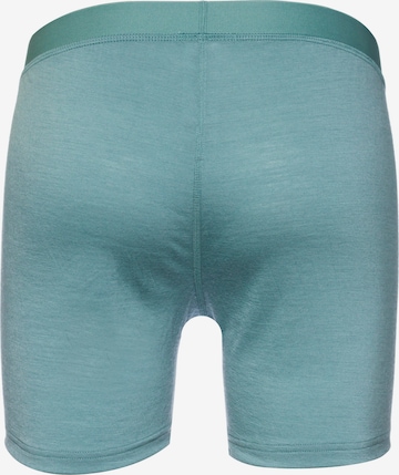 ODLO Athletic Underwear 'MERINO 160' in Green