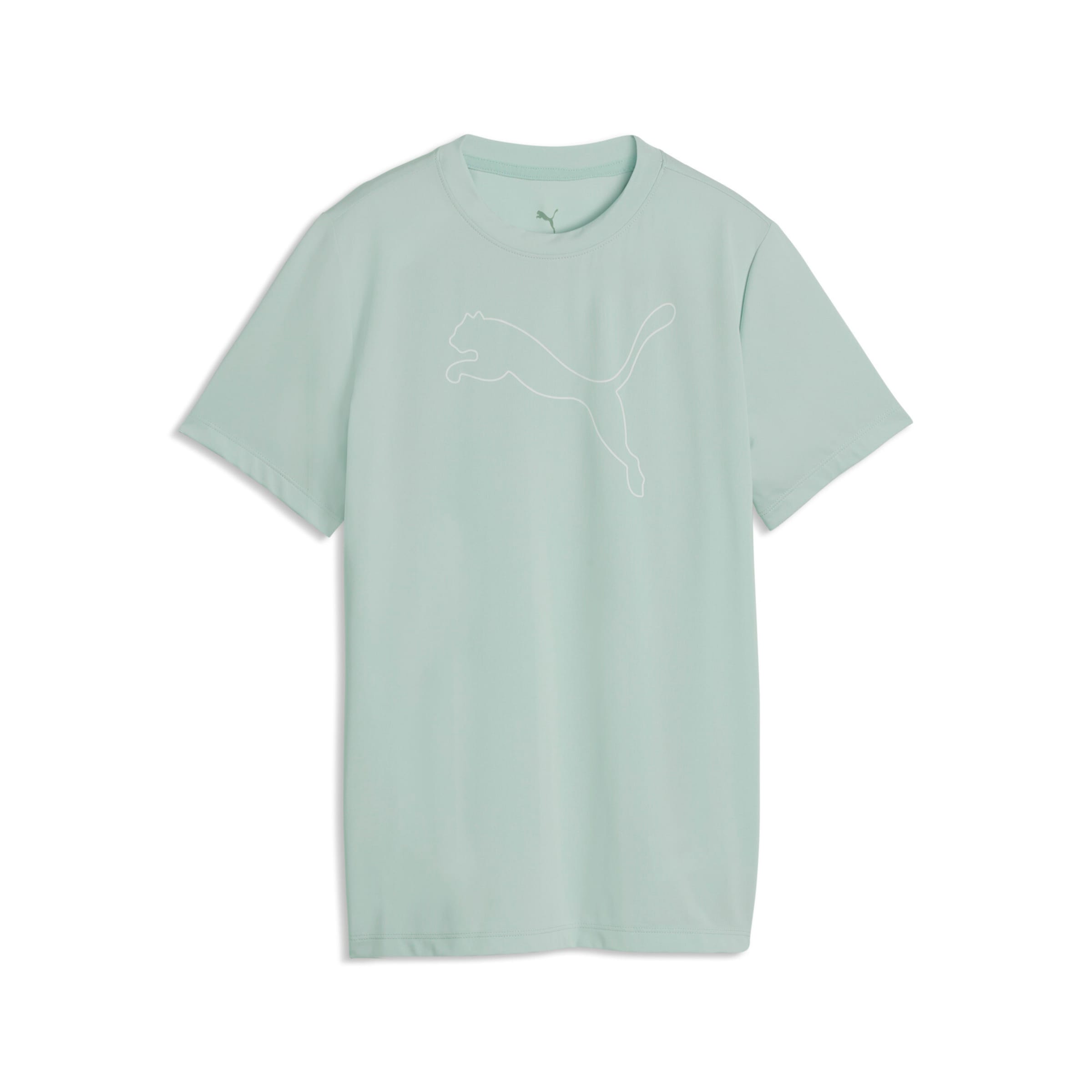 PUMA Performance Shirt in Blue: front