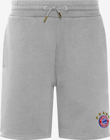 FC BAYERN MÜNCHEN Regular Pants 'Logo' in Grey: front