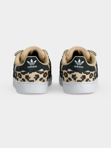 ADIDAS ORIGINALS Σνίκερ 'SUPERSTAR II' σε μπεζ