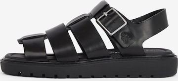 Calvin Klein Sandal in Black: front