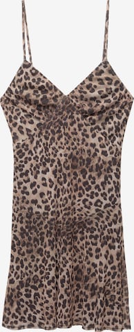 Pull&Bear Kleid in Braun: Vorderseite