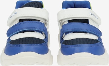 Sneaker di GEOX in blu