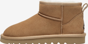 Everau Bootsit värissä ruskea: etupuoli