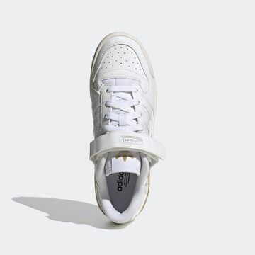 Baskets basses 'Forum' ADIDAS ORIGINALS en blanc