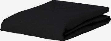 ESSENZA Bed Sheet in Black: front