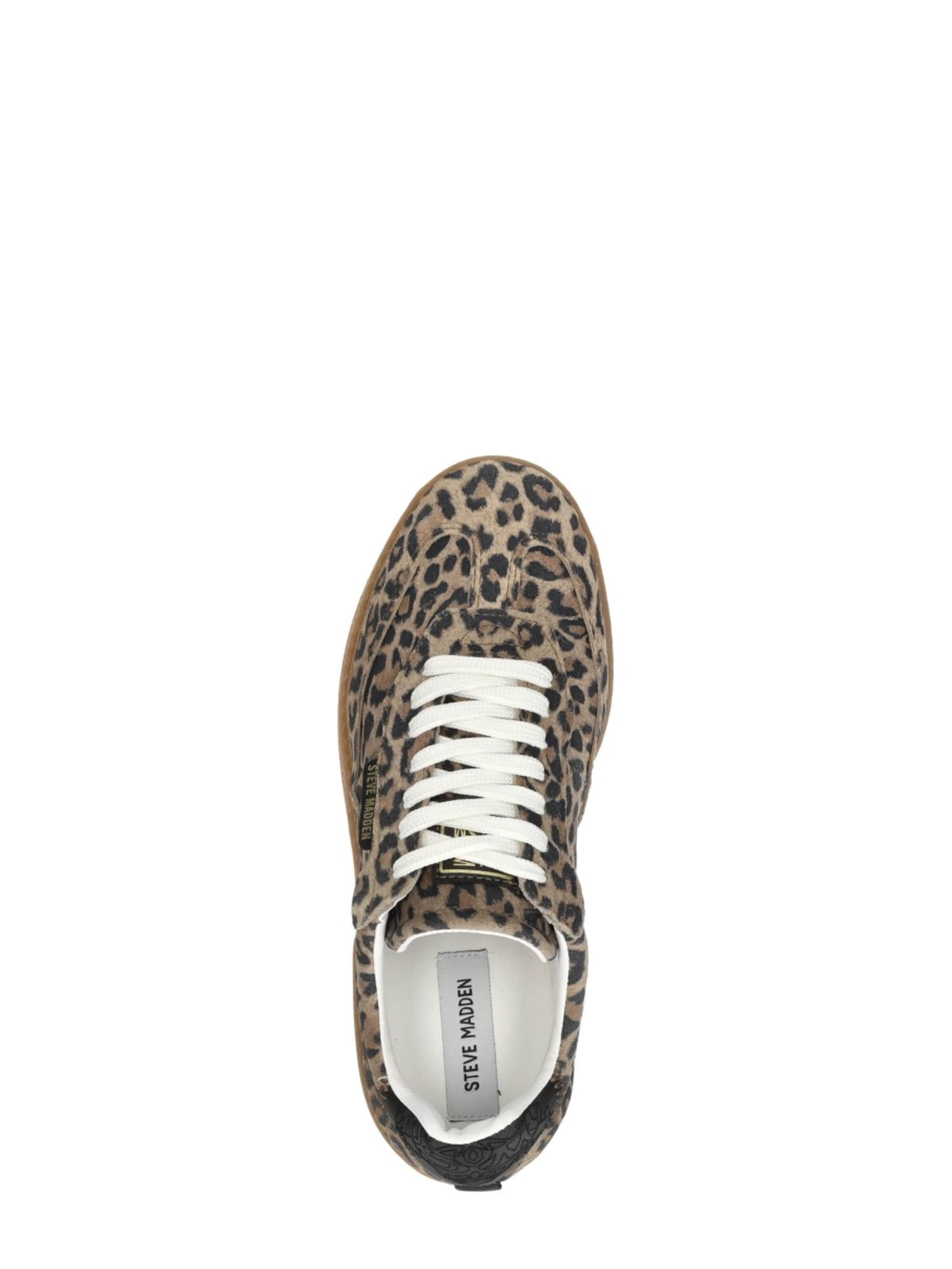STEVE MADDEN Sneakers 'Euphoria' in Brown