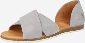 Apple of Eden Sandals 'Chiusi' in Grey: front