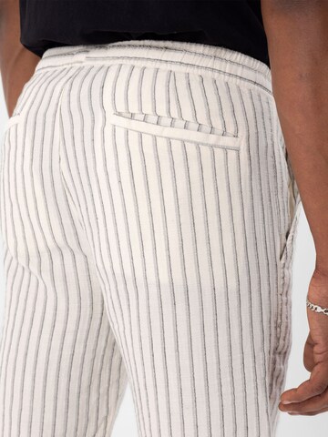 Regular Pantalon By Diess Collection en beige