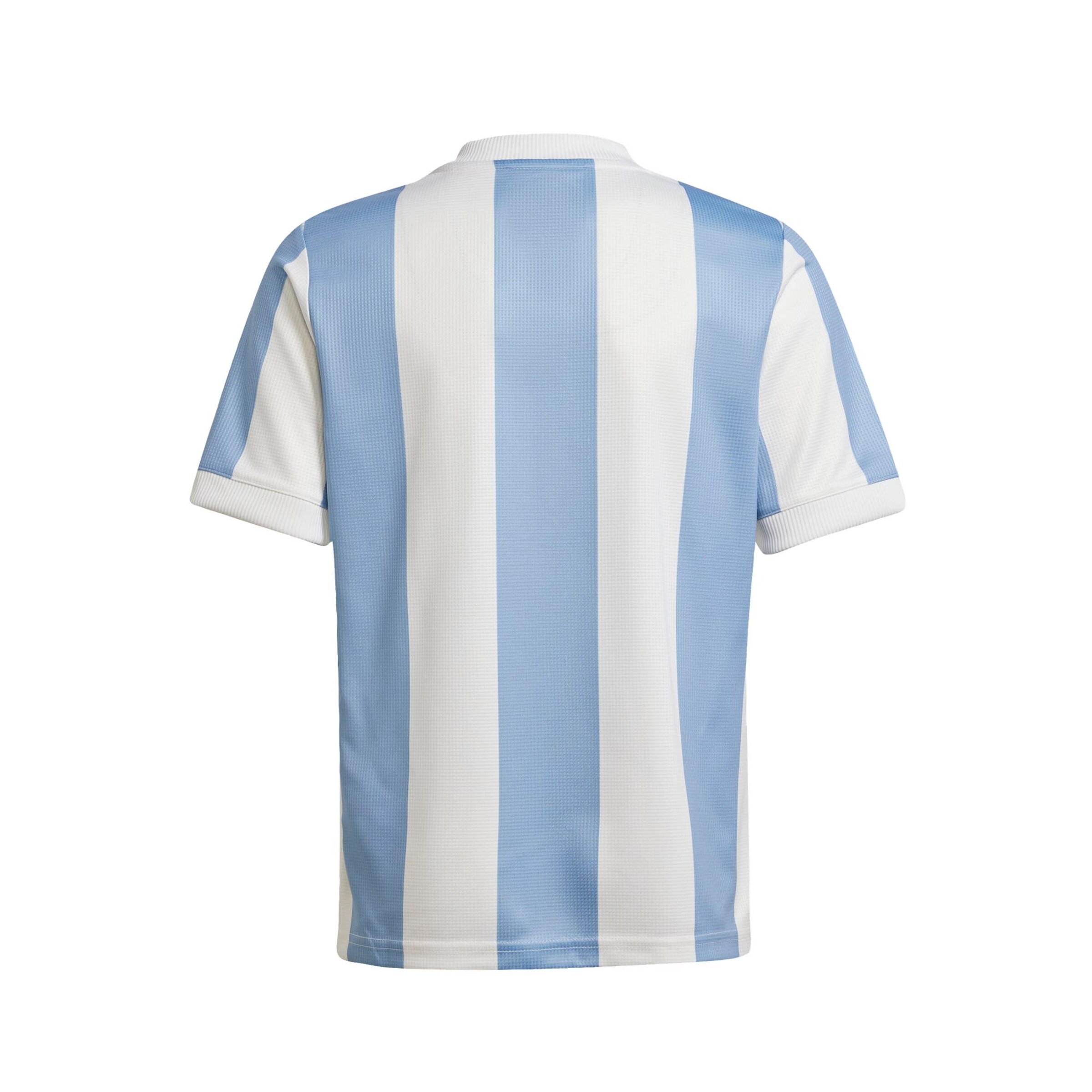 ADIDAS PERFORMANCE Trikot 'Argentina Anniversary' in Mischfarben