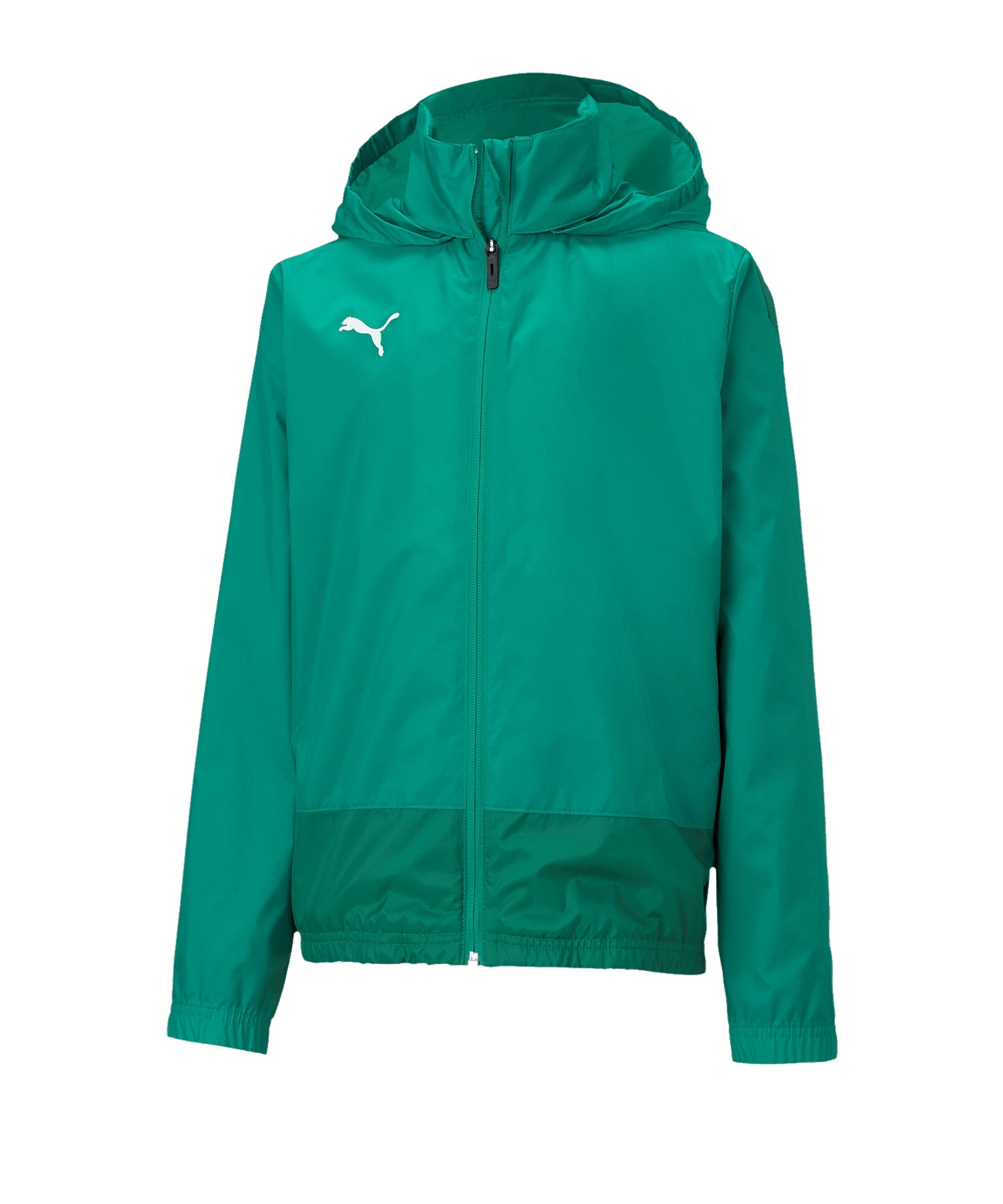 PUMA Sportjacke ' TeamGOAL' in Grün: Vorderseite
