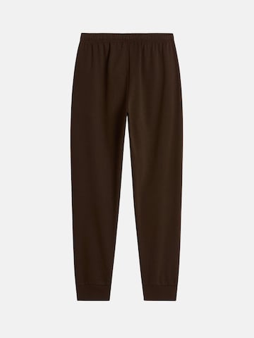 THE NORTH FACE Regular Outdoorbyxa 'THE NORTH FACE M EVO SD REG JOGGER PANTALONE TUTA' i brun