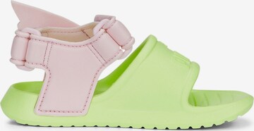 PUMA Beach & Pool Shoes 'Divecat v2 Injex' in Green