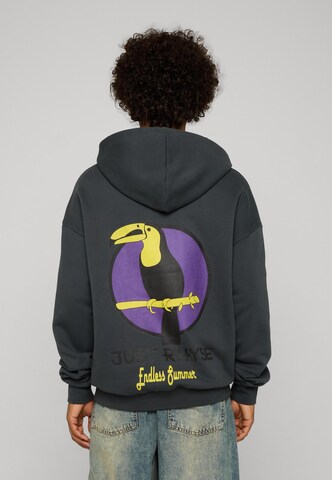 Just Rhyse Sweatshirt 'Tucan' in Grijs: voorkant