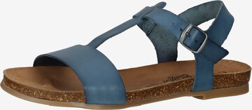 COSMOS COMFORT Sandals in Blue: front