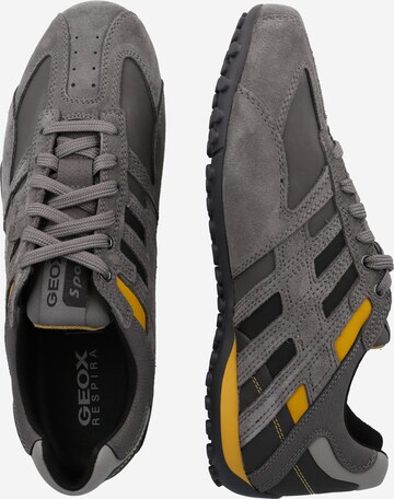 GEOX Sneaker 'Snake' in Grau