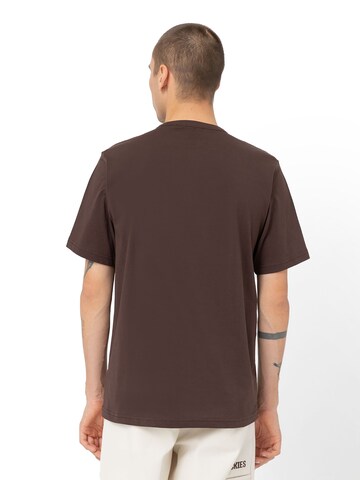 DICKIES Shirt 'AITKIN TEE' in Bruin