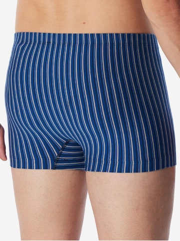 SCHIESSER Boxershorts '95/5 Essentials - Cotton' in Blauw