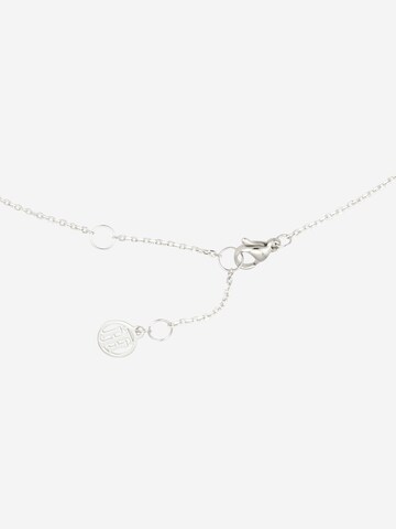 Collana di TOMMY HILFIGER in argento