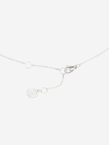 Collana di TOMMY HILFIGER in argento