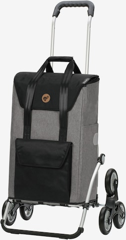Trolley 'Senta ' di Andersen Shopper in grigio: frontale