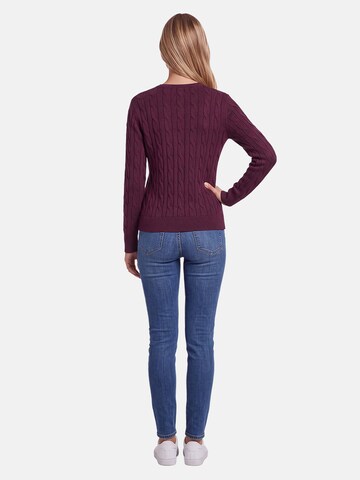 U.S. POLO ASSN. Sweater in Purple