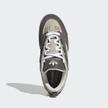 ADIDAS ORIGINALS Sneaker  'Adi2000' in Braun