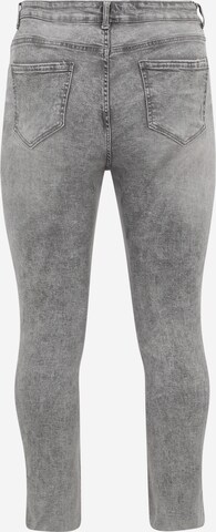 Z-One Skinny Jeans 'Jolie' in Grau