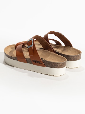 Bayton Mules 'Cintra' in Brown