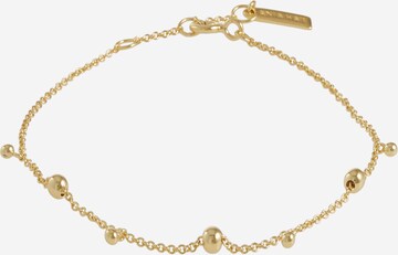 ANIA HAIE Bracelet in Gold: front