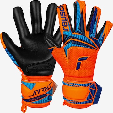 REUSCH Sports gloves 'Attrakt Infinity Evolution NC Junior' in Blue: front
