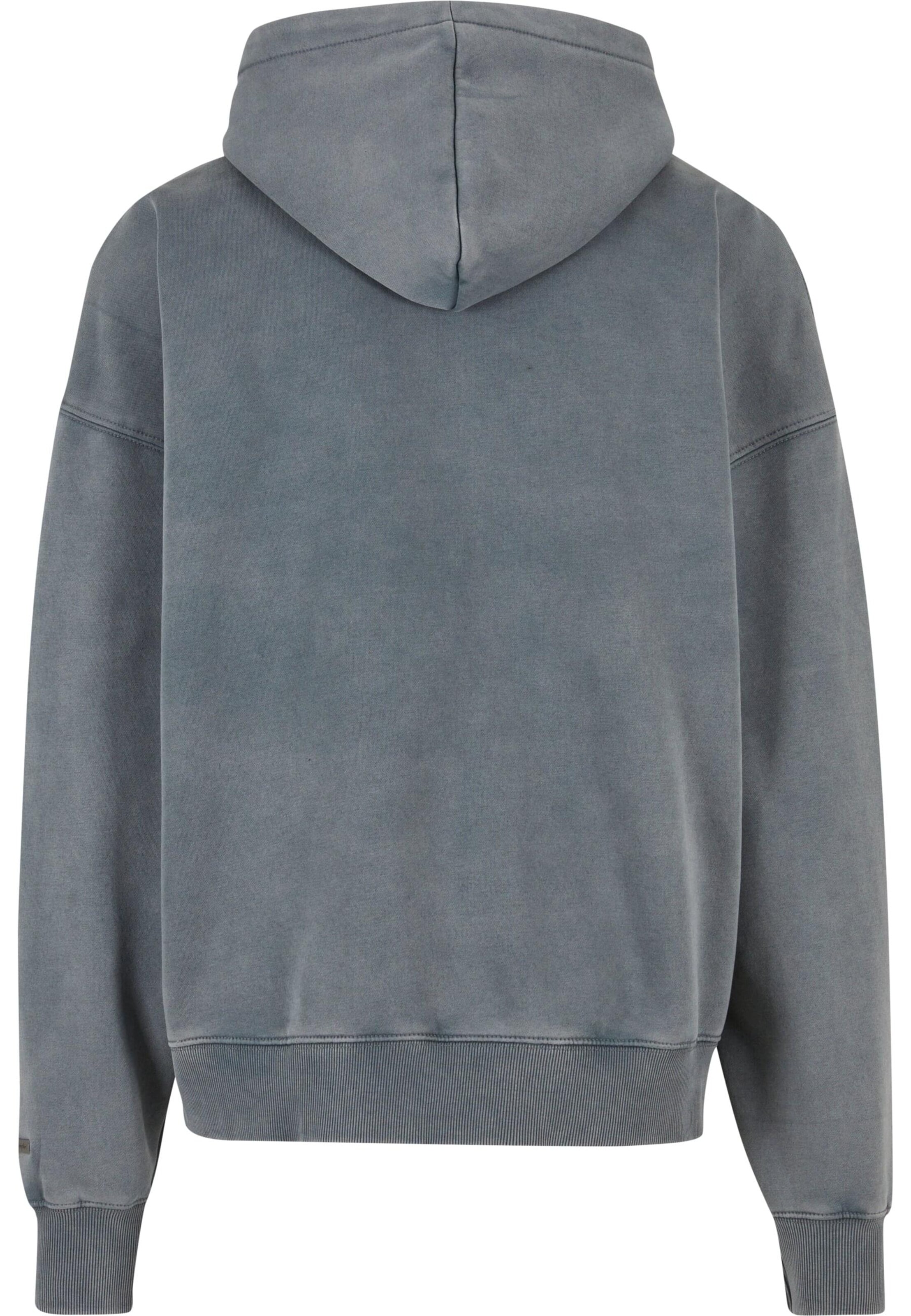 Dropsize Sweatjacke in Grau