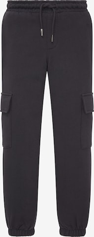 Effilé Pantalon TOM TAILOR en gris : devant