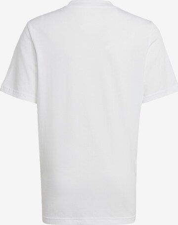 T-Shirt ADIDAS ORIGINALS en blanc