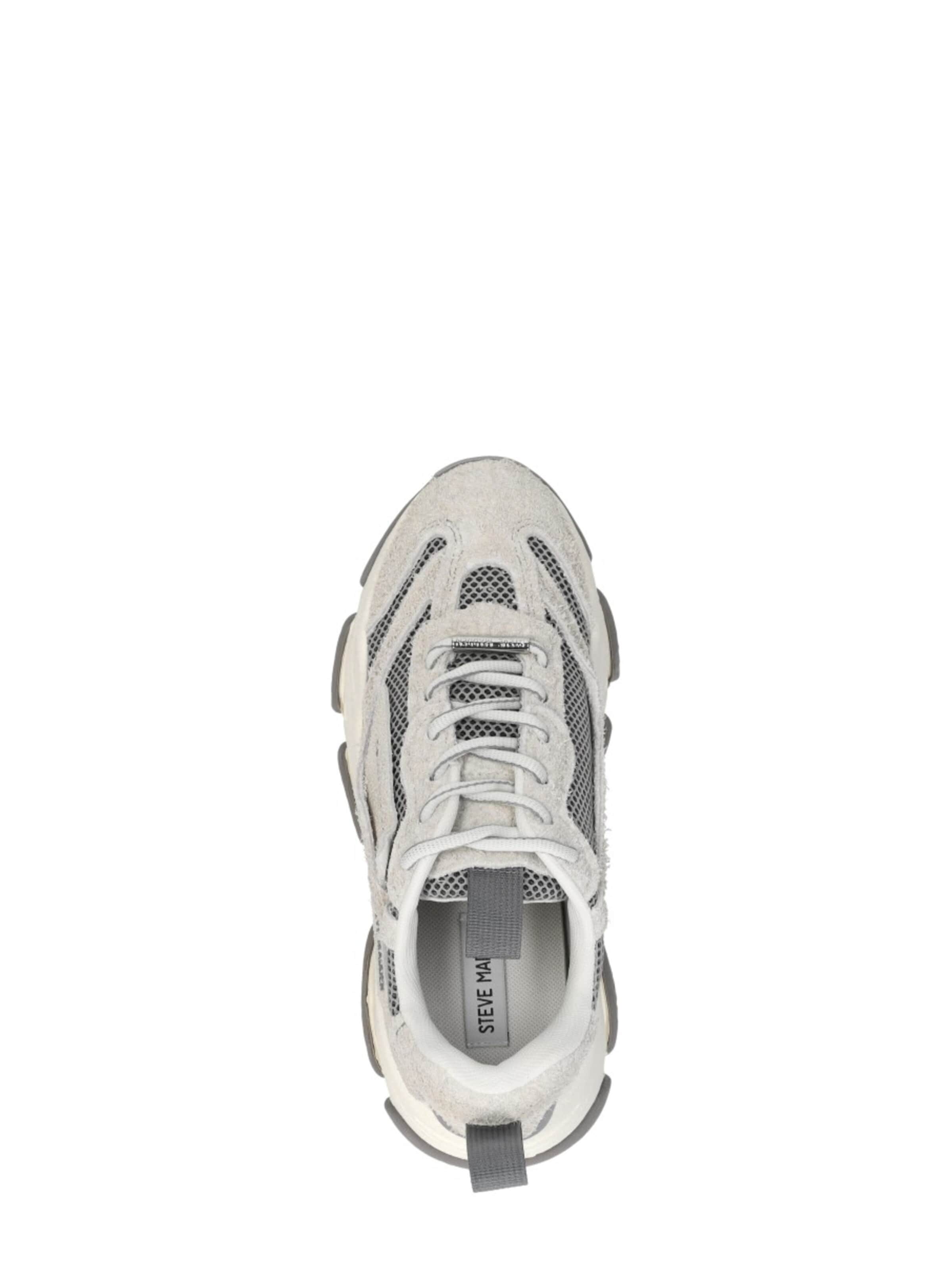 STEVE MADDEN Sneaker low 'Possession'‌ in Grau