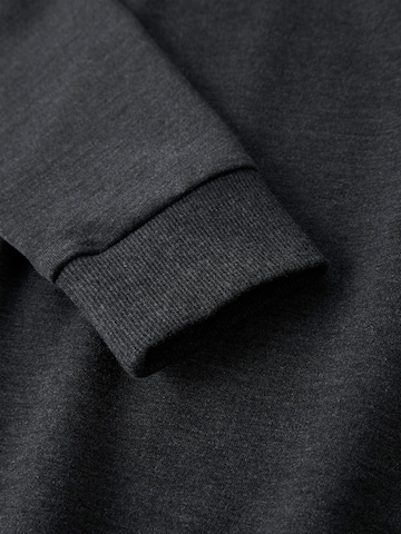 TWO SOON Sweatshirt i grå