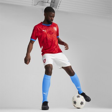 PUMA Tricot 'Tschechische Republik 2024' in Rood