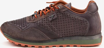 Cetti Sneakers in Brown: front