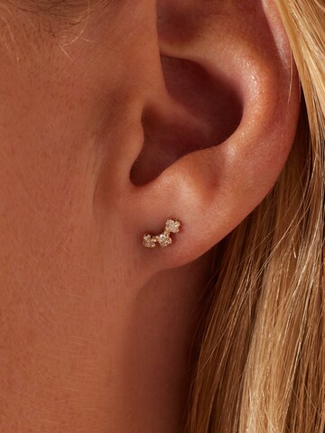 Lucardi Oorbellen in Goud: voorkant