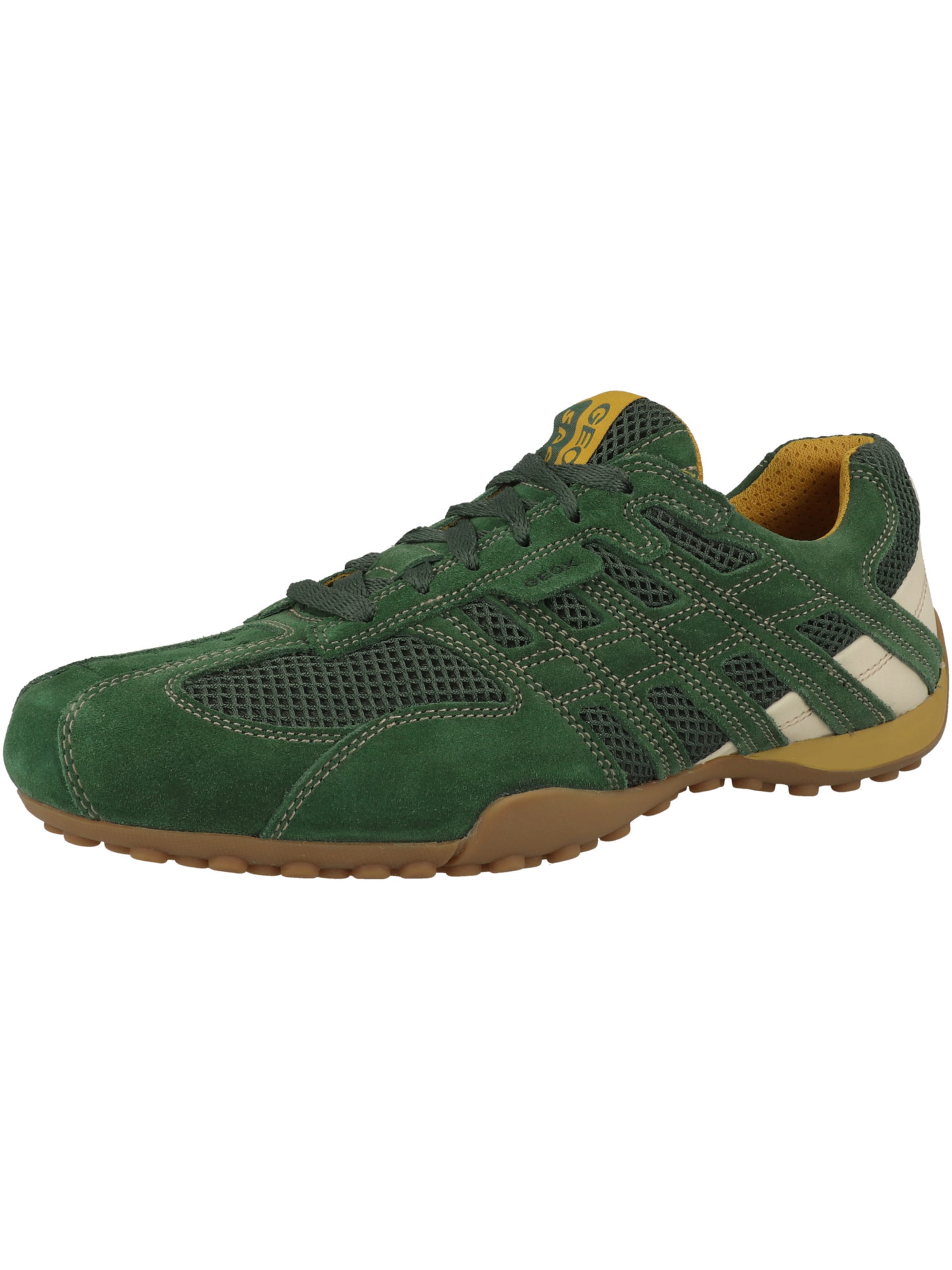 Baskets basses 'Snake Original' GEOX en vert : devant