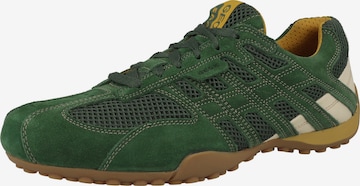 Baskets basses 'Snake Original' GEOX en vert : devant