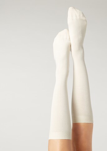 CALZEDONIA Knee High Socks in Beige: front