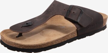 ROHDE T-Bar Sandals 'Grado' in Brown: front