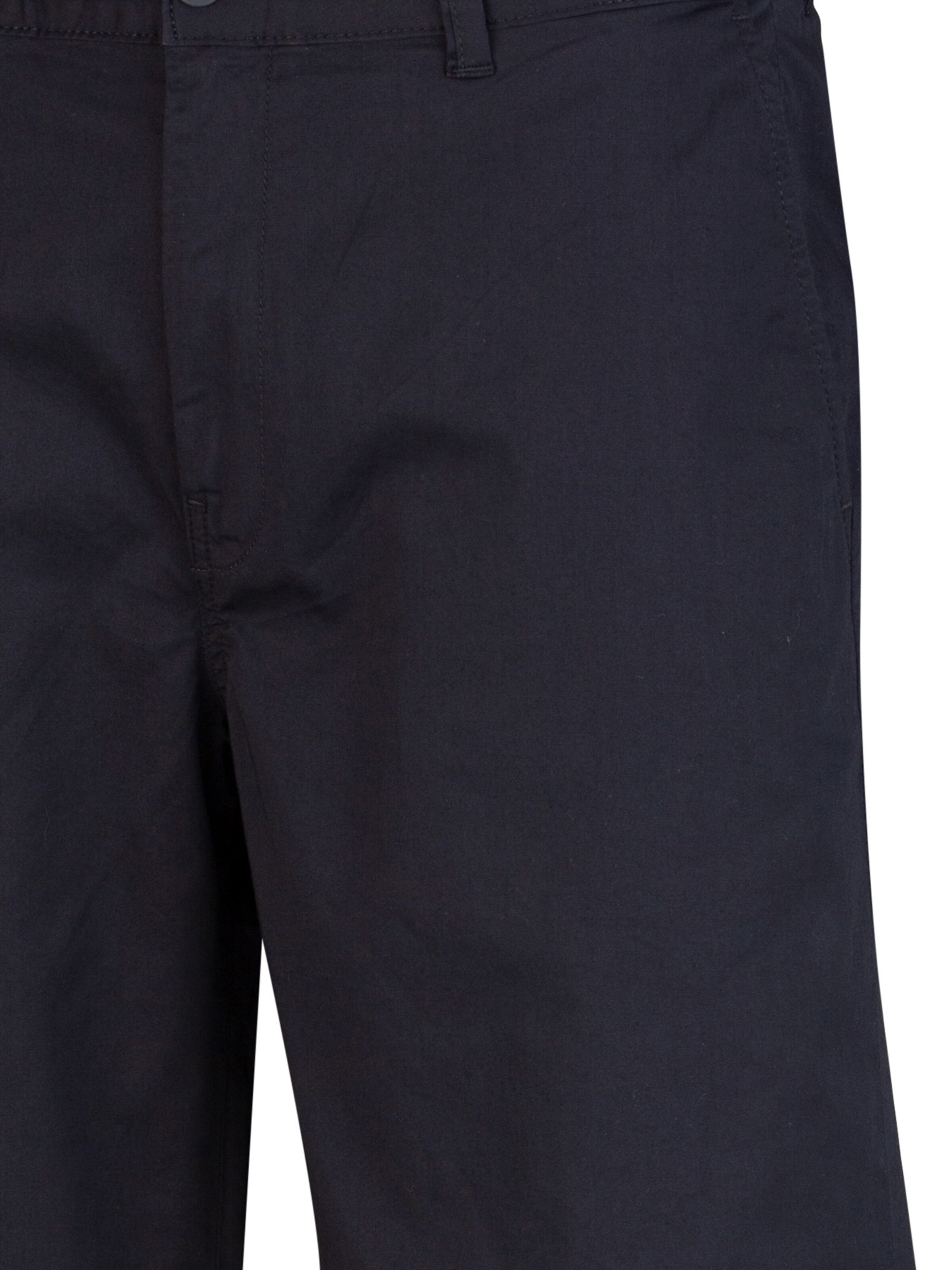 REPLAY Regular Trousers in Blue