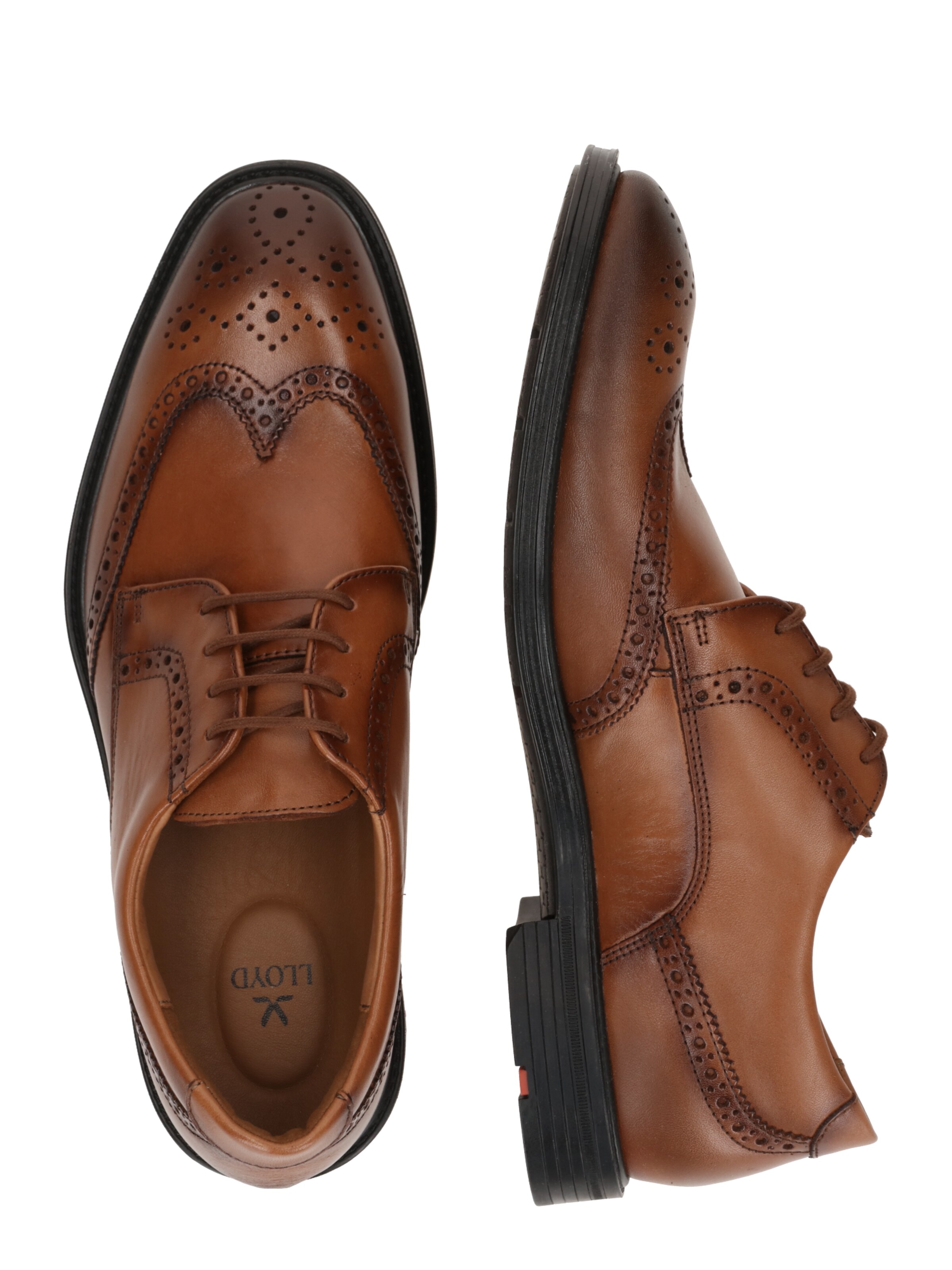 Scarpa stringata 'X-Motion 140' di LLOYD in marrone