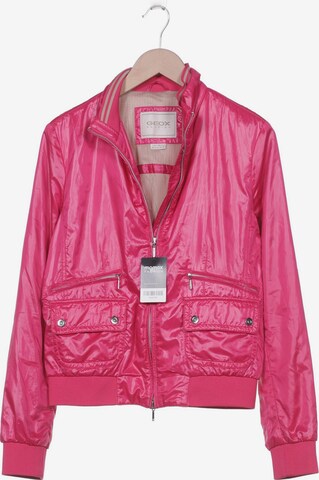 GEOX Jacket & Coat in L in Pink: front