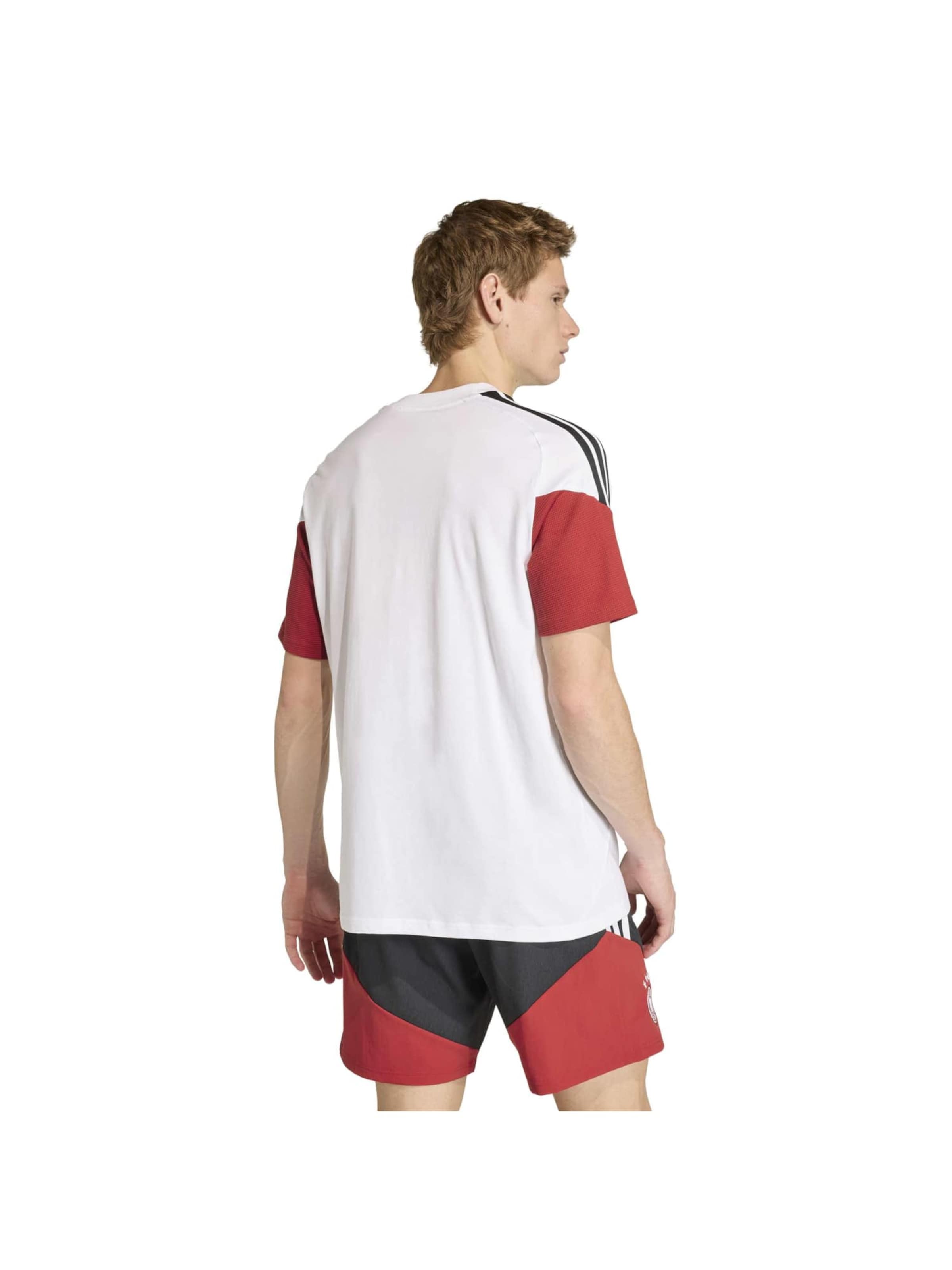ADIDAS PERFORMANCE Jersey 'DFB TEE' in White